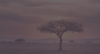 Destination: Malawi