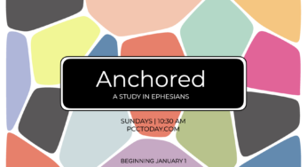 Anchored: Grace Grace