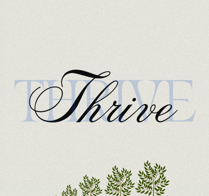 “You are divinely designed for ministry” | THRIVE | Part 2